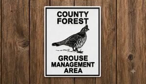Wisconsin DNR County Forest Grouse Management Sign Bird Hunting Conservation